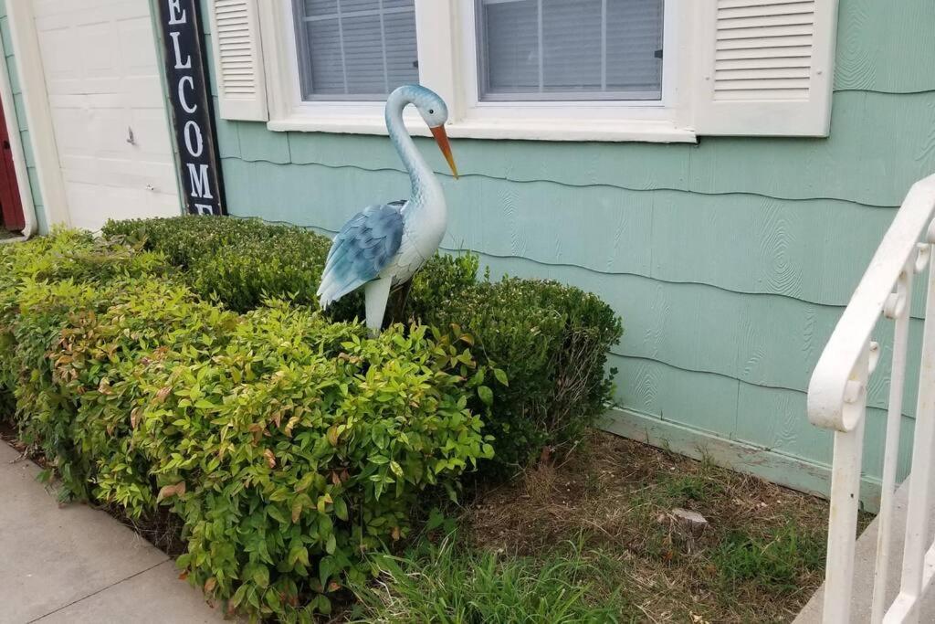 Blue Flamingo'S Charming Home-Heart Of Tulsa2- Cherry St-Expo-11Th מראה חיצוני תמונה